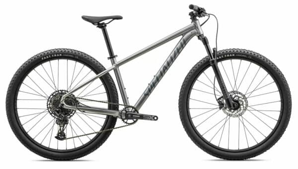 Specialized Rockhopper Expert 29 Silver Dust/Black Holographic 2023 29"; Diamant